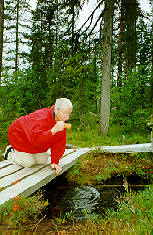 Kllan i Bjrnlandets nationalpark