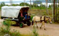 b7.jpg (70798 byte)
