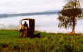 b8.jpg (61491 byte)